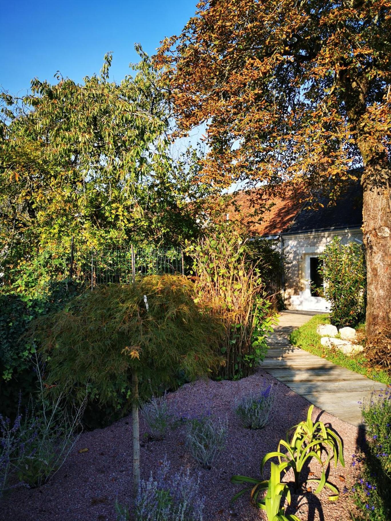 La Jacquiere Panzió Chaumont-sur-Loire Kültér fotó